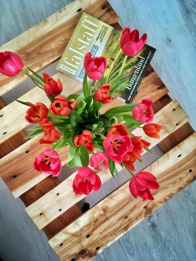 Elizabeth Garden Premium Apartment Kecskemet Bagian luar foto